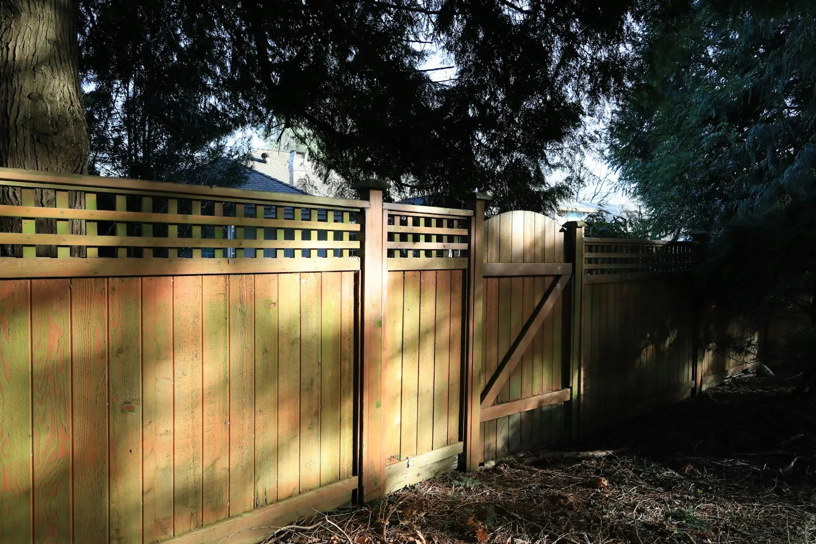 Cedar privacy fence with lattice top and matching gate
