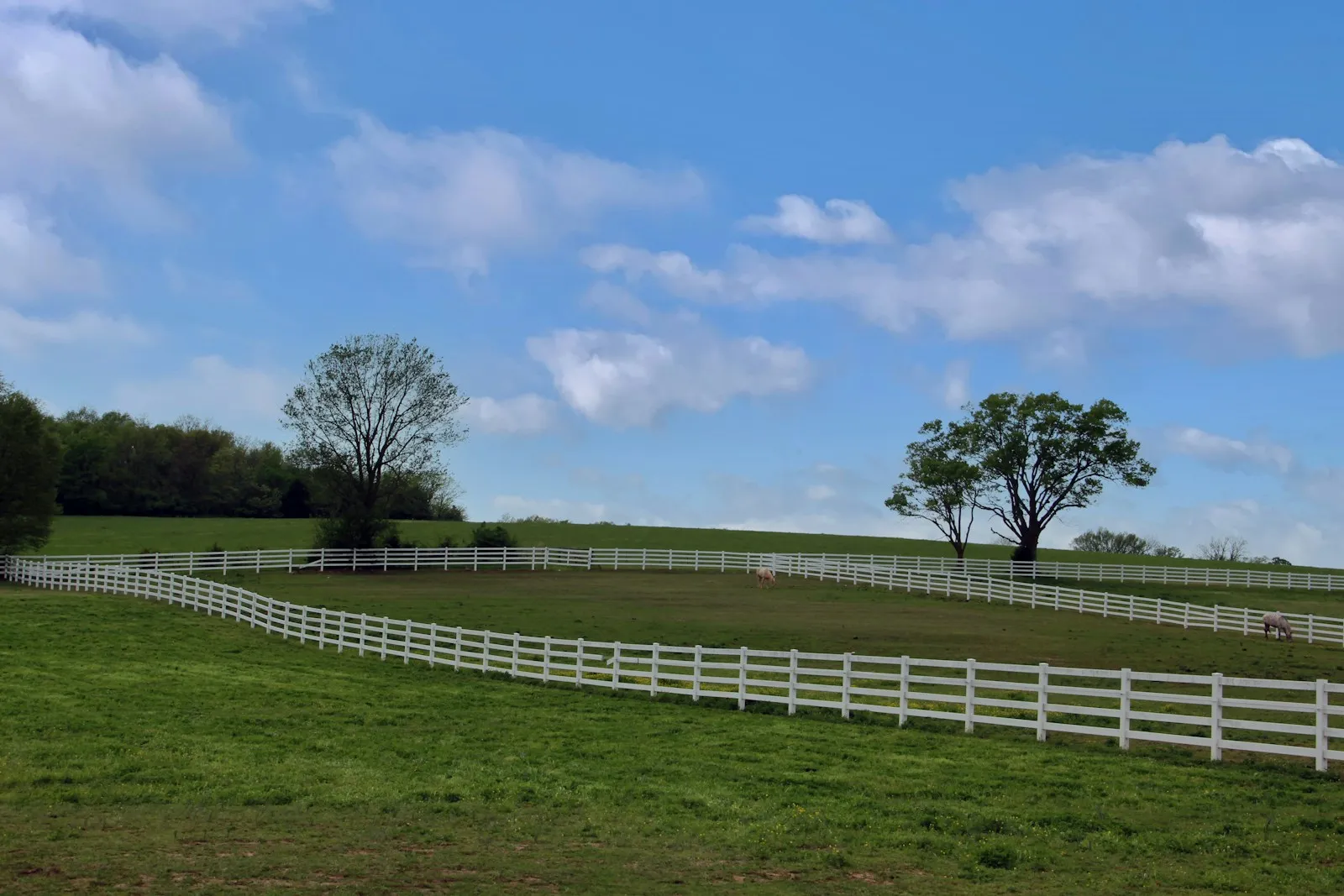 White board fence around open pasture